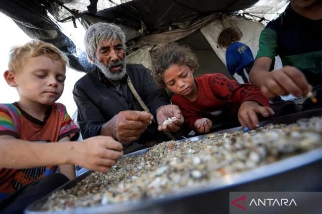 
					404 Warga Palestina, termasuk 141 anak, meninggal akibat kelaparan