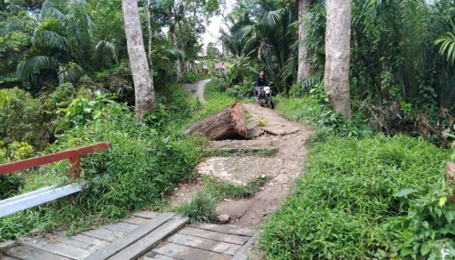 
					Warga Desa Tumbang Tuan Keluhkan Jalan dan Pelabuhan Belum Diperbaiki