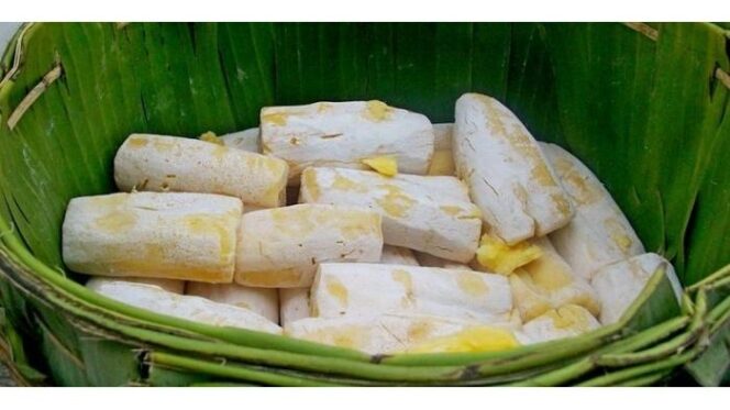 
					Tape Singkong, Camilan Tradisional Dengan Manfaat Tersembunyi