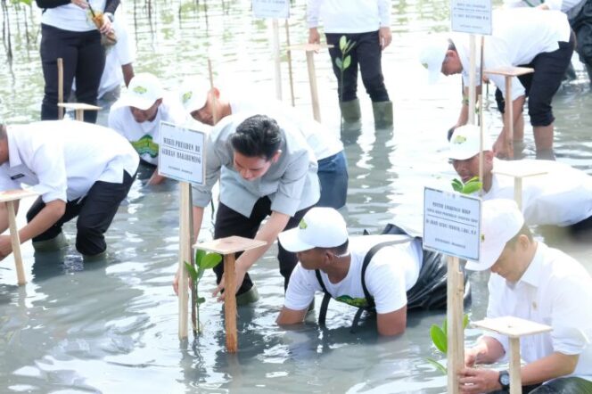 
					Wapres Gibran Tanam Mangrove di Tangerang, Dukung Rehabilitasi 750 Ribu Hektare Lahan