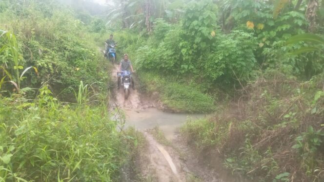 
					Jalan Kampung Mausuane Petuanan Negeri Maneu Butuh Perhatian Pemerintah