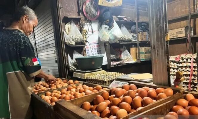 
					PIHPS: Harga cabai rawit merah Rp49.850/kg, telur ayam Rp32.100/kg