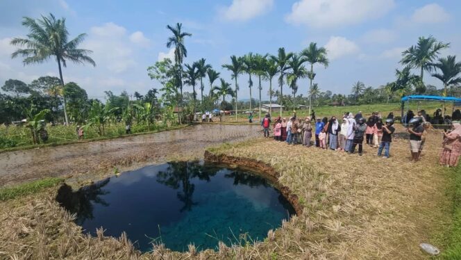 
					Indonesia Rawan Bencana Sinkhole, BRIN Tunjuk 3 Wilayah Ini