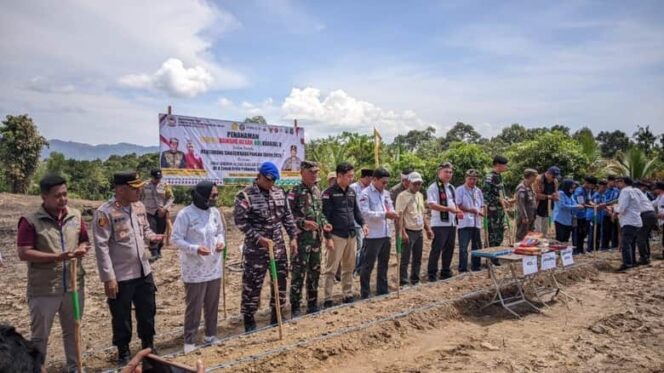 
					Jagung Jadi Komoditas Prioritas, Upaya Mendorong Kesejahteraan Petani Lokal