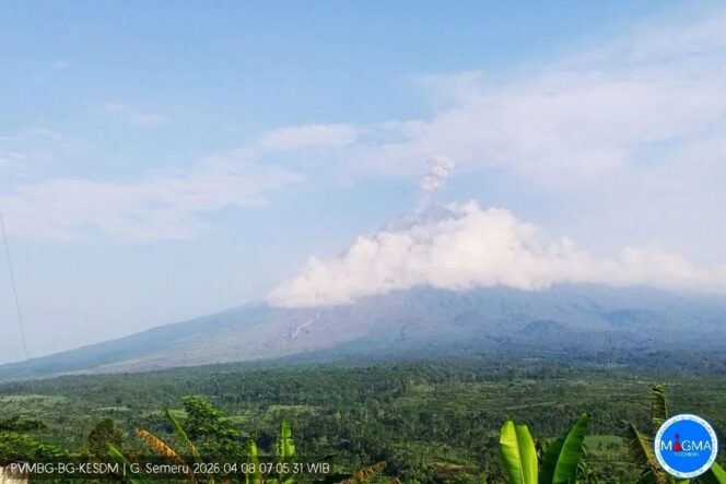 
					Gunung Semeru Kembali Erupsi, Tinggi Letusan 1.000 Meter