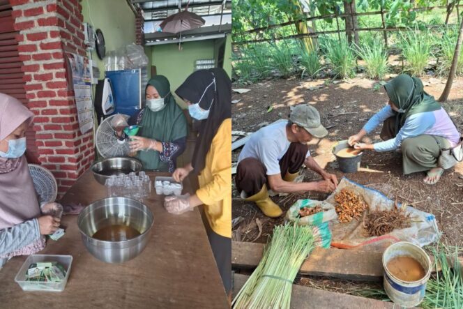 
					Modal Rp100 Ribu, 10 Ibu Rumah Tangga Ini Sekarang Produksi 600 Botol Sehari