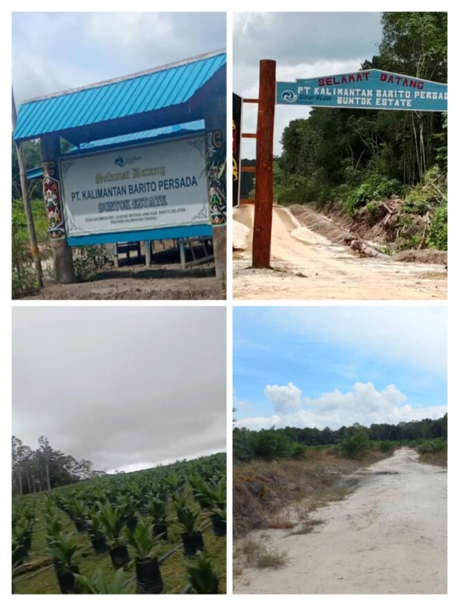 
					Sanggupkah Satgas PKH Menjaga Eksistensinya sebagai Benteng Penjaga Aset Negara, ketika PT KBP di Barsel yang Diduga Ilegal namun Terus Menjalankan Aktivitasnya seolah Kebal Hukum?