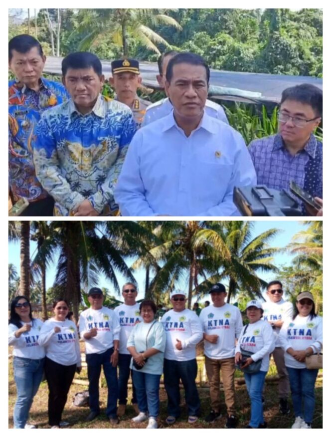 
					Sulut Kebagian Bibit Jagung untuk 15 ribu Hektare dari Pemerintah Pusat