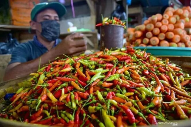 
					Harga pangan Jumat 8 Mei 2026, cabai rawit Rp52.850 per kg dan telur ayam Rp31.450 per kg