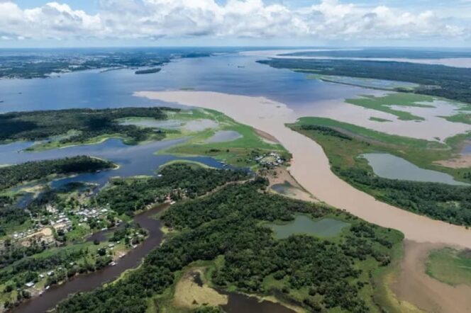 
					Peneliti: Pemanasan iklim picu penurunan kadar oksigen di sungai