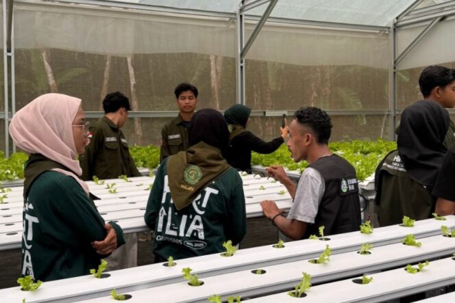 
					Petani Disabilitas di Bulukumba Raup Puluhan Juta dari Selada Hidroponik