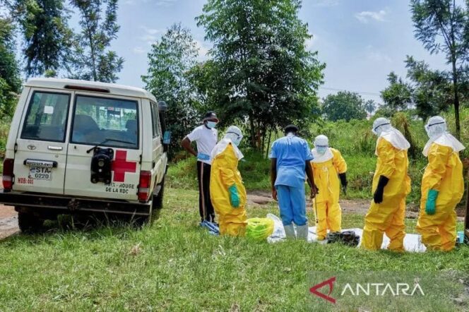 
					IOM serukan penguatan koordinasi lintas batas tekan wabah Ebola
