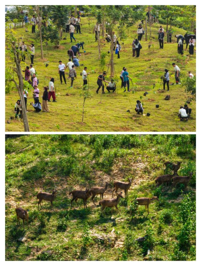 
					Satwa Liar Kembali Hadir, Ekosistem Forest City IKN Mulai Terbentuk