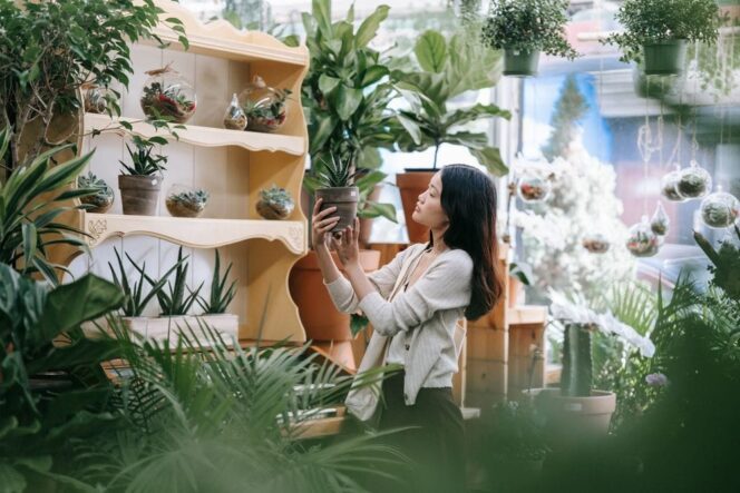 
					Florikultura Indonesia Tembus Korea Selatan: Peluang Bisnis UMKM Tanaman Hias yang Makin Terbuka