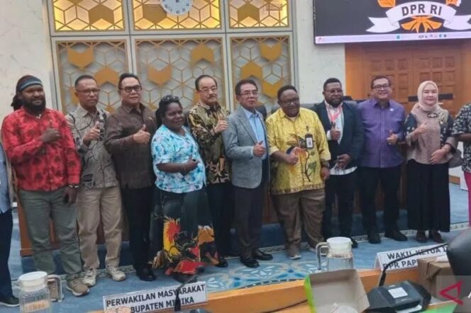 
					DPR RI Bentuk Tim Investigasi Dampak Tailing Freeport
