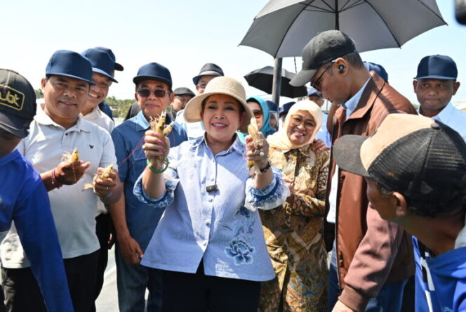 
					Dari Lahan Terbengkalai Jadi Sentra Ekspor, Titiek Soeharto Apresiasi BUBK Kebumen