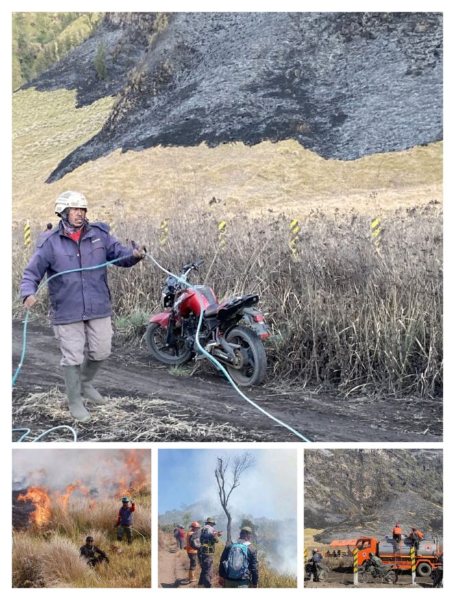 
					Kisah Munawi di Lereng Bromo, Merangkak di Tebing dan Mengejar Api hingga Larut Malam