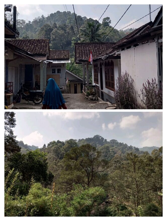 
					Kisah Desa di Pekalongan yang Berdamai dengan Satwa Liar, Punya Aturan Larangan Berburu