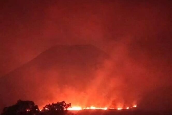 
					Kebakaran Cagar Alam Gunung Lokon Tomohon Hanguskan 100 Hektare Lahan
