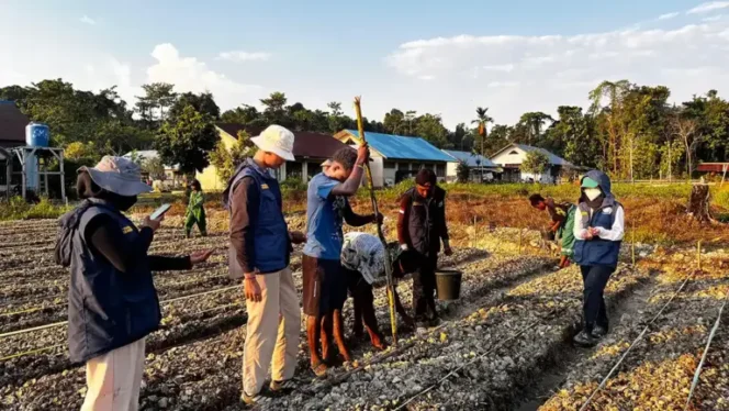 
					Siapkan SDM Pertanian Mandiri di Papua, TEP UNDIP Bekali Siswa Keerom Keterampilan Agribisnis