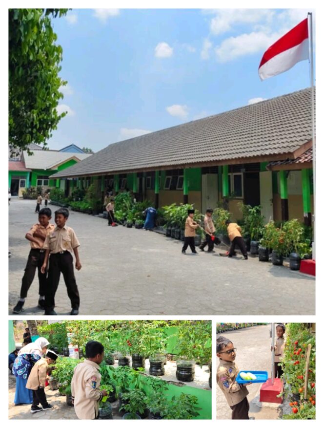 
					SD Negeri Purwosari Sleman Sulap 600 Galon Bekas Jadi Kebun Sayur